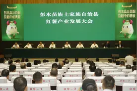 彭水县委书记石强：切实将红薯产业做大做强做精做特 打造名副其实的“中国苕粉之都”图片