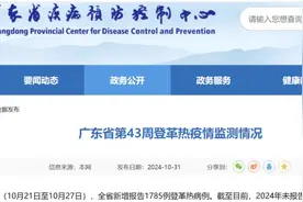 “登革热”来袭！高热、皮疹、全身疼痛，一定要警惕这2种蚊子图片