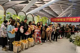 “小砂糖橘”宝贝回到南宁啦！感谢全国网友“云看护”图片