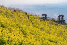 又到春花烂漫时｜北碚：农业公园春意浓图片