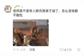 全网都在找的“子涵”，到底是谁？图片