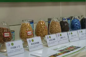 青海：举全省之力打造十大国家级科技创新平台图片