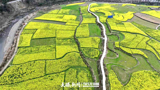 镇远：千亩油菜花开正艳 邀您共赴春日之约