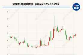 金龙机电拟终止24亿元投资项目  公司称将与政府部门协商退回土地使用权图片