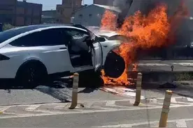 林志颖：将重返赛车场图片