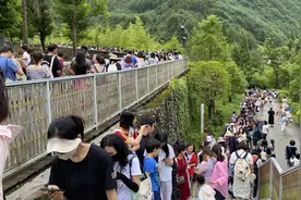 大熊猫“福宝”4岁生日快乐！粉丝为其设计、绘制礼物现场免费送图片