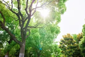 这几个动作，每天练习几分钟，气血流通身体棒图片