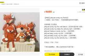 花5000元买二手玩偶？闲置平台上的Jellycat价格远高于新品，“退休”的Jellycat越老越吃香图片