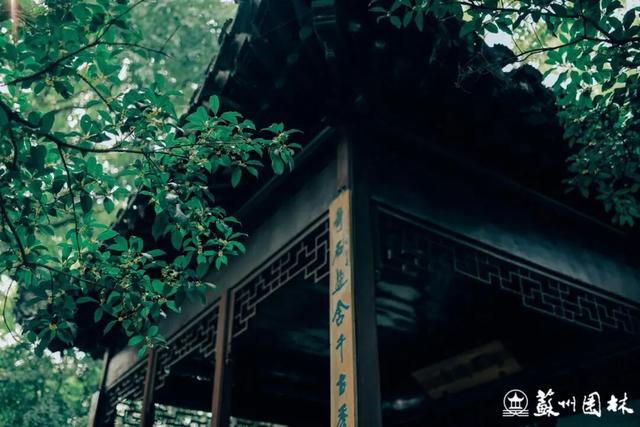 苏州的秋天，给你点“颜色”看看！