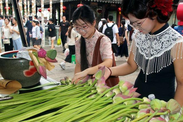 江苏苏州：山塘街荷花俏销 感受初秋浪漫