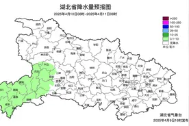 大风+暴雪+沙尘！最强风雹来袭，湖北发布风险提示图片