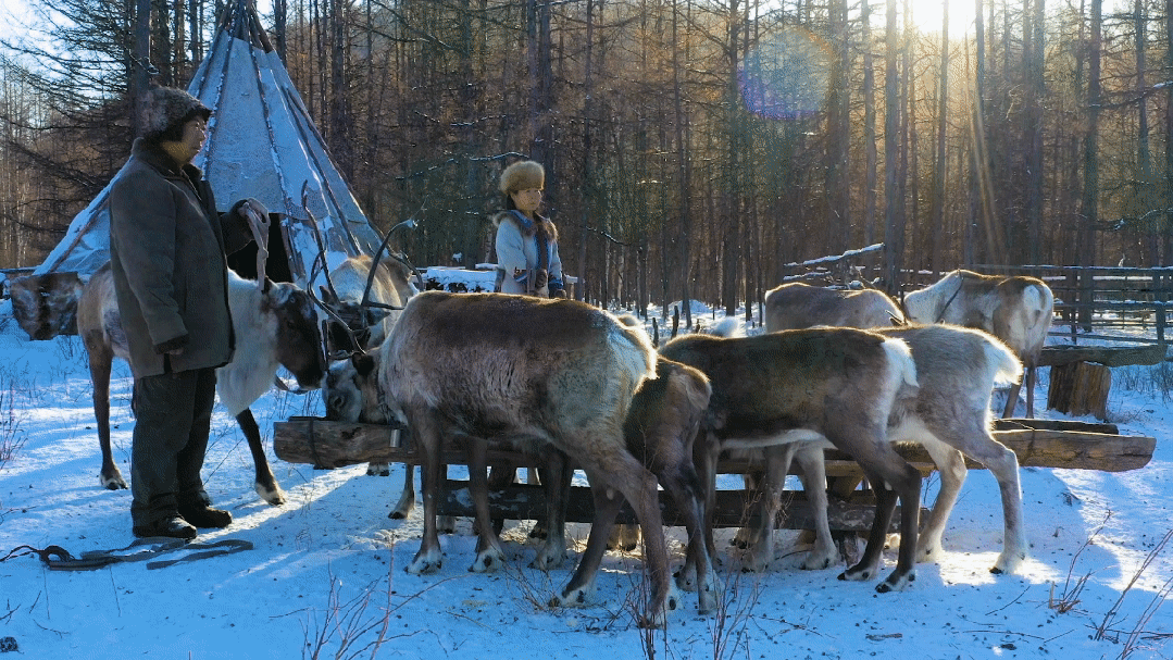 你的电脑桌面，变色了？！