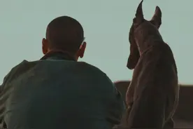 如何正确与狗狗相处呢？这些养宠健康之道一定要了解→图片