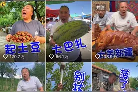 “东北雨姐”被打假凸显故事型达人的变现瓶颈图片