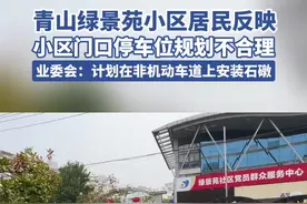 极目帮办|居民反映小区门口停车位规划不合理，业委会：计划在非机动车道上安装石礅图片