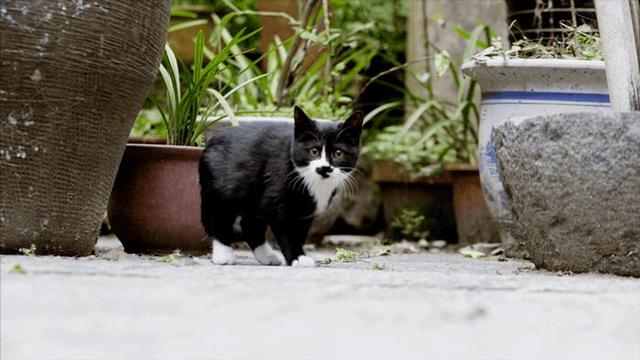 8个好友在福建抱团山居：减少物欲，尝试在山里养育下一代