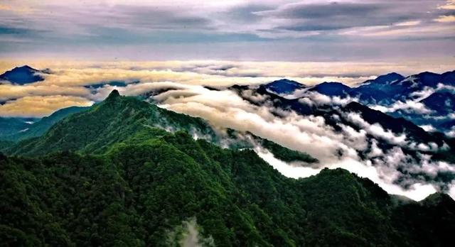 豫见两山 绿色答卷丨生态之旅——打卡“生物多样性魅力城市”南阳