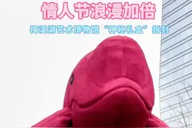 好浪漫！巨型粉色江豚“凌空起舞”梅溪湖艺术博物馆前坪图片