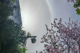 朋友圈刷屏！刚刚，柳州上空出现“日晕”奇观！你看到了吗？🤩图片