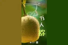 好品中国丨金秋“丰”景，甜“猕”相约图片