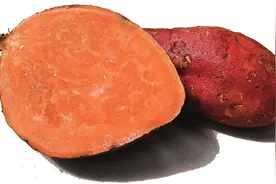 郸城红薯 “薯”光无限图片