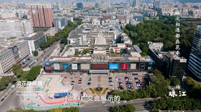 央视热播！就在身边，不少越秀街坊天天见