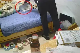 杭州女子家里进贼，猫猫踹门向邻居求助！网友：立大功啦图片