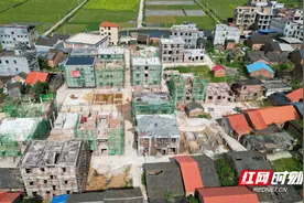 嘉禾：三色融合 “空心村”治理浓墨重彩图片