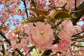 美就在身边‖春游，郑州经开区有这7个好去处→图片