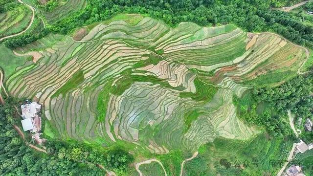 毕节不止有“悬崖村”,这些田园风光更美!