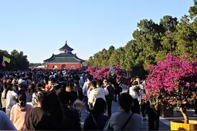 国庆假期北京全市公园接待游客超1221万人次图片