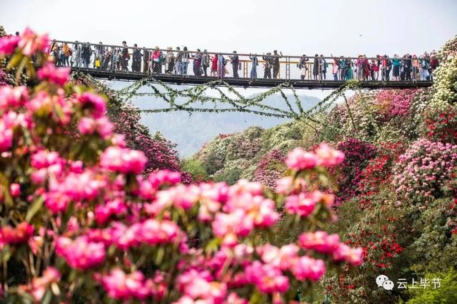 走！跟着央视热播剧，打卡毕节