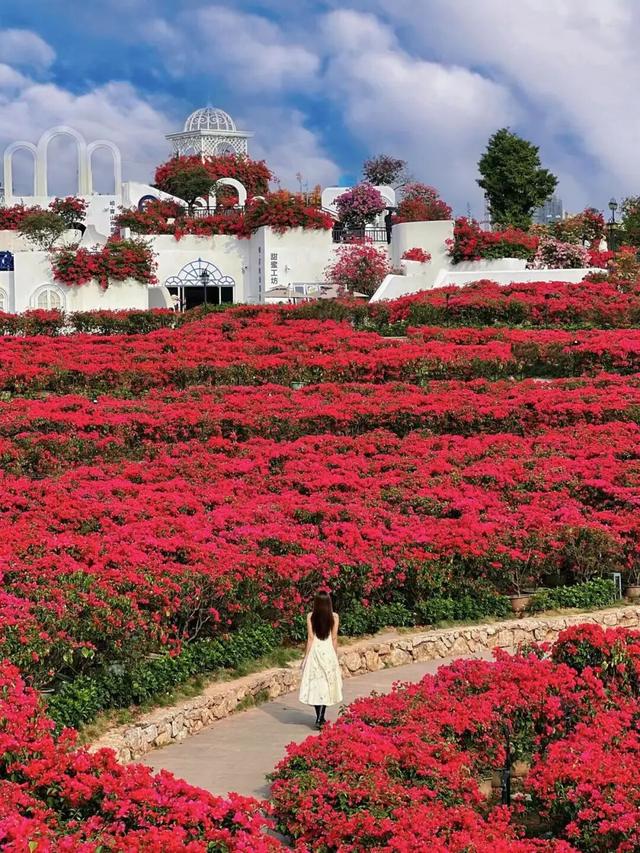 无限暖意！广西发布6条“康养旅居 冬游广西”系列精品线路