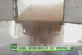 《绿野》做优粮油品牌 助推乡村振兴（五）图片