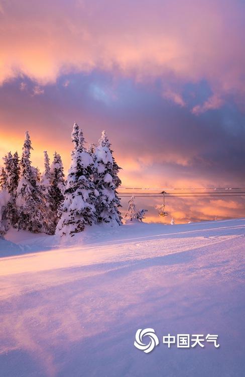 小雪节气：千色藏冬 一组图看雪中多彩世界