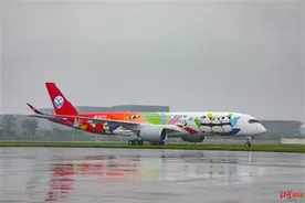 川航第八架A350“熊猫飞机”首航图片