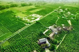 成都最大的“柚子星球”竟然在新都图片