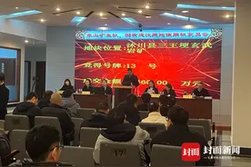 近5亿元成交，可十年分期付款   四川乐山一玄武岩矿权成功拍卖图片