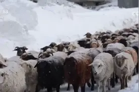服务队温暖护航风雪转场路 现代化转型托起牧民新生活图片