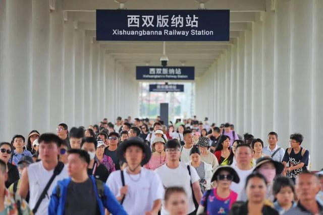 去勐海品茶，这条线路超火