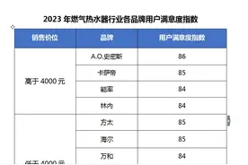 燃气热水器测评，“耗气量”评价得分最低图片