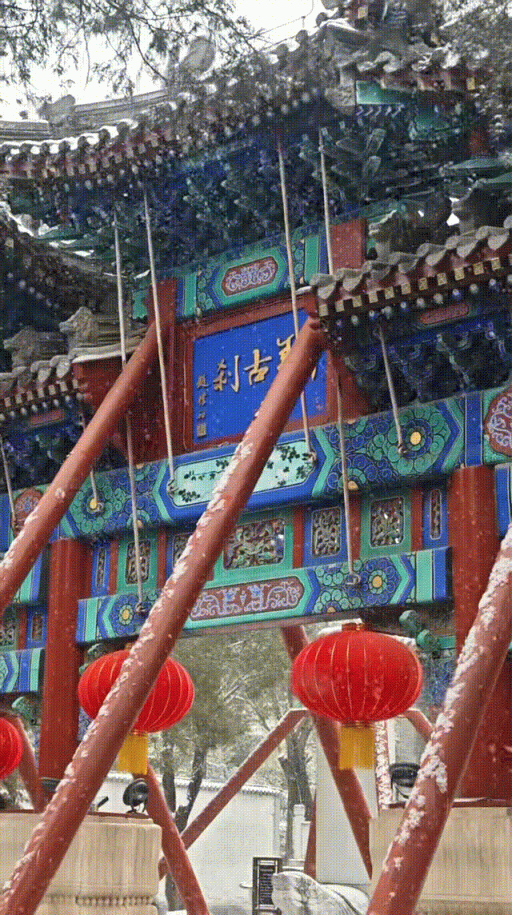 雪中的房山真美