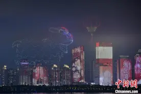 （新春走基层）科技艺术与千年民俗交融 海口元宵“花”样绽放图片