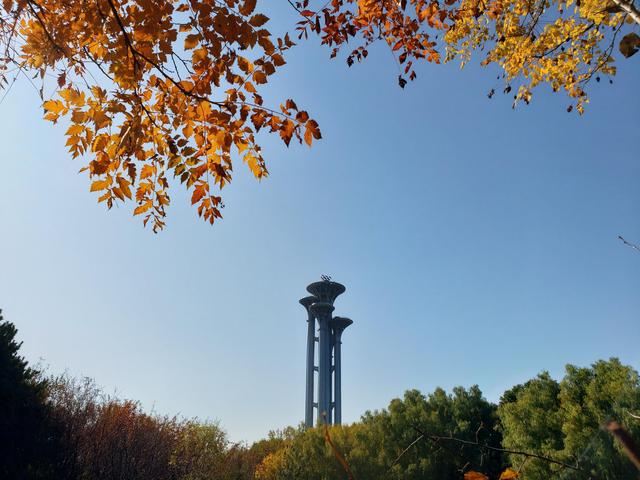 秋天最后一个节气来了，北京到底有多少种颜色？