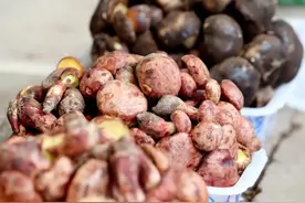 云南吃菌季，来了！｜有一种叫云南的生活之365天图片