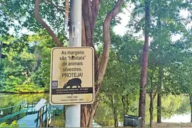 保护生物多样性  促进可持续发展（国际视点）图片