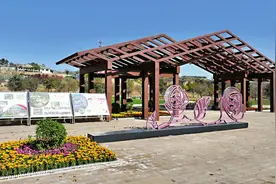 慢生活感知乡愁 花世界治愈疲惫图片