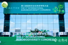 国际农业生物多样性大会为何落地云南昆明？图片