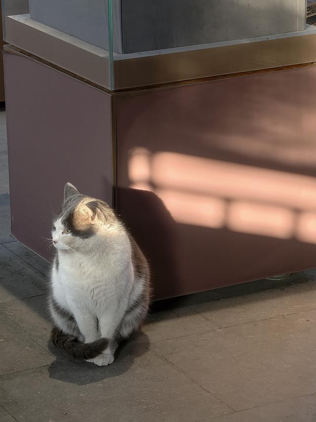 漫步团河行宫遗址公园，享受冬日静谧时光