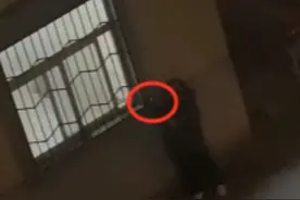 安徽一职校男生晚上偷窥偷拍女寝厕所？回应：系误传，那是洗衣房图片